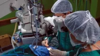 Alagoas não realiza transplante renal pelo Sistema Único de Saúde (SUS), tanto na rede pública, quanto na rede privada de […]