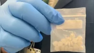Justamente quando as comunidades começavam finalmente a compreender os efeitos do abuso de drogas como fentanil e oxicodona, outro analgésico […]