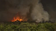 A Confederação Nacional dos Municípios (CNM) estima que 11,2 milhões de pessoas já foram diretamente afetadas por incêndios florestais nas [&hellip;]